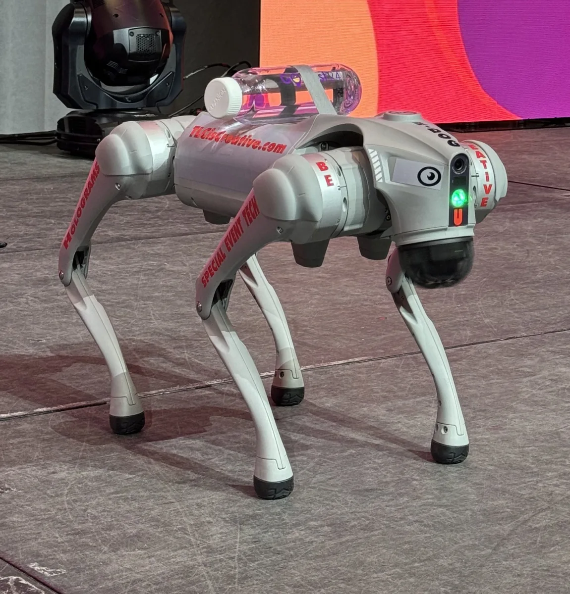 R-Dog robotic dog
